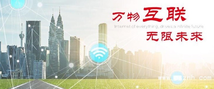 LEEG單晶矽壓力丝瓜IOS在线观看新產品發布，敬請期待！